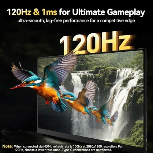 120Hz monitor display with kingfisher birds and waterfall.